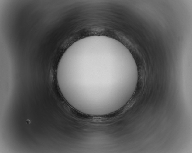 X0000099490758200805150927
