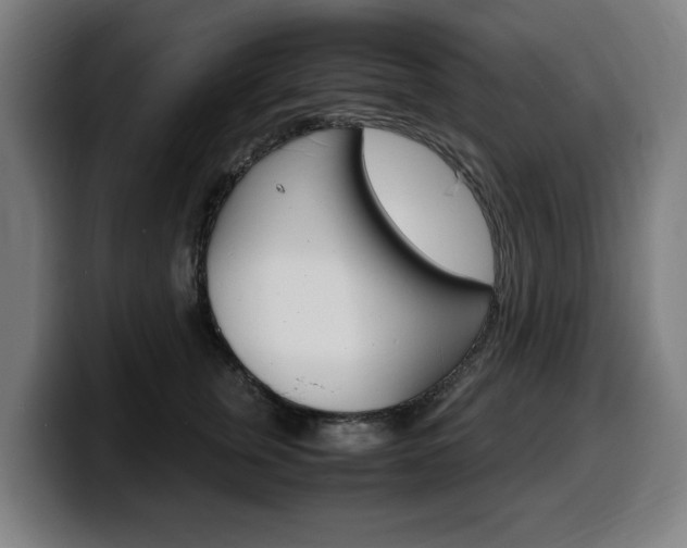 X0000099490759200805150927