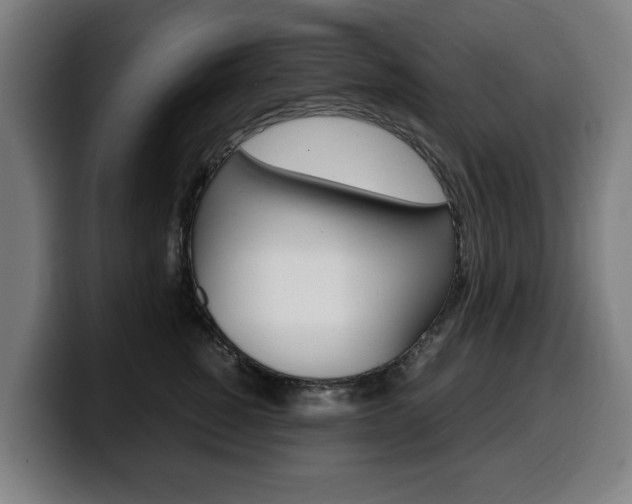 X0000099490760200805150927
