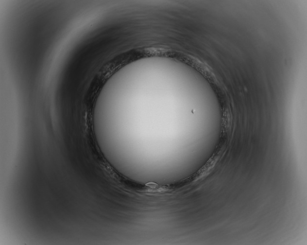 X0000099490762200805150927
