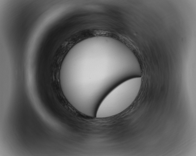 X0000099490763200805150927