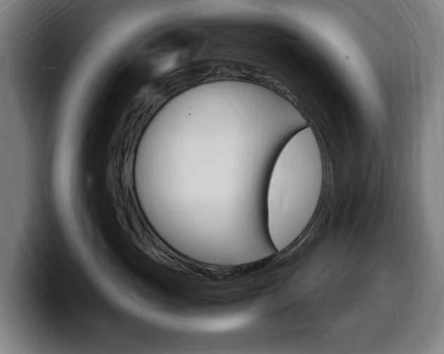 X0000099490765200805150927