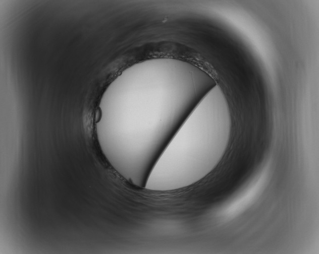 X0000099490767200805150927