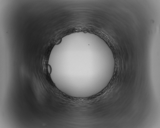 X0000099490770200805150927