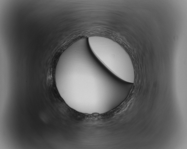 X0000099490771200805150927