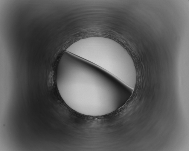 X0000099490772200805150927