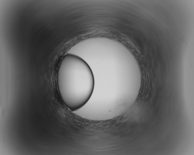 X0000099490773200805150927