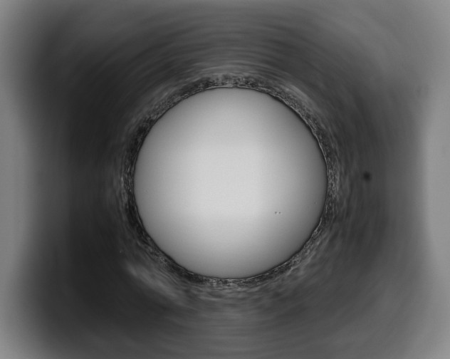 X0000099490774200805150927