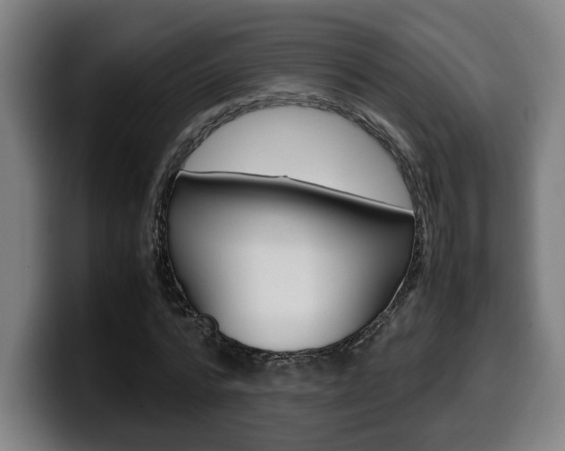 X0000099490776200805150927