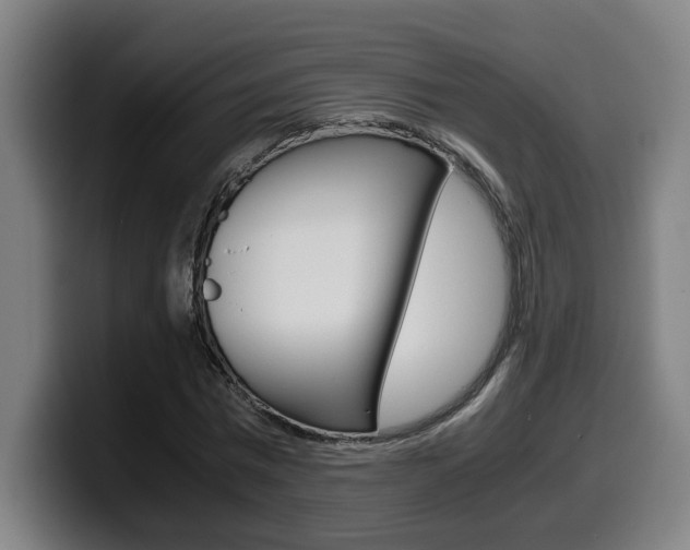 X0000099490777200805150927