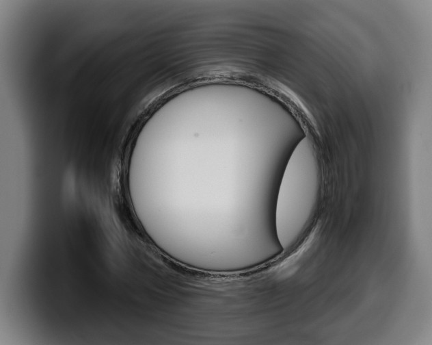 X0000099490778200805150927