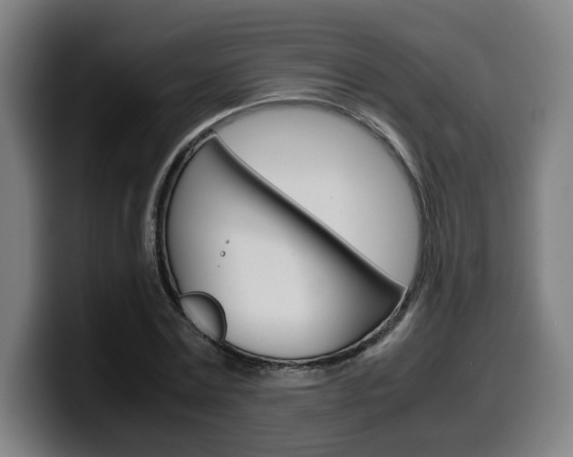 X0000099490779200805150927