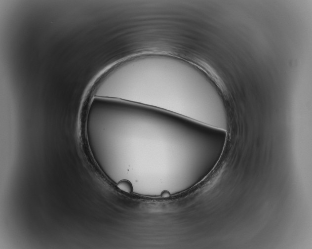 X0000099490780200805150927
