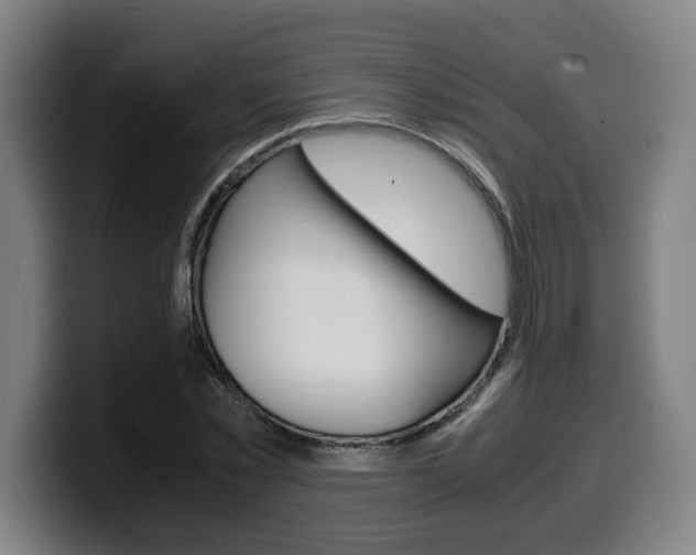 X0000099490781200805150927
