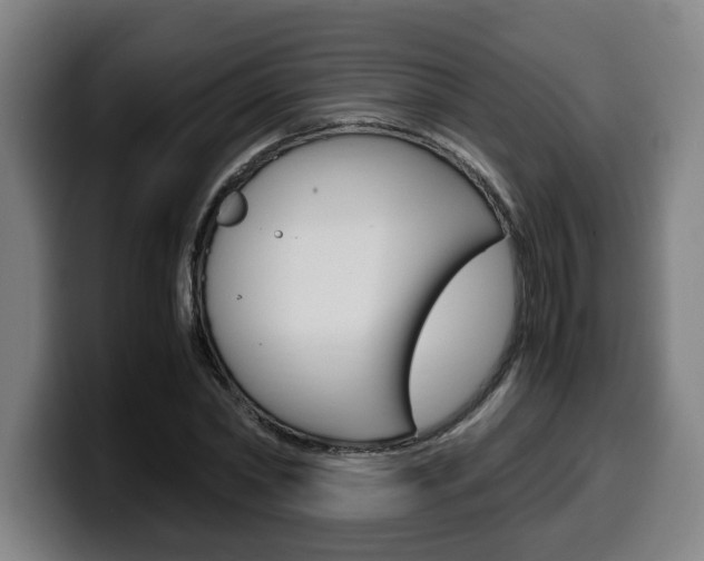 X0000099490782200805150926