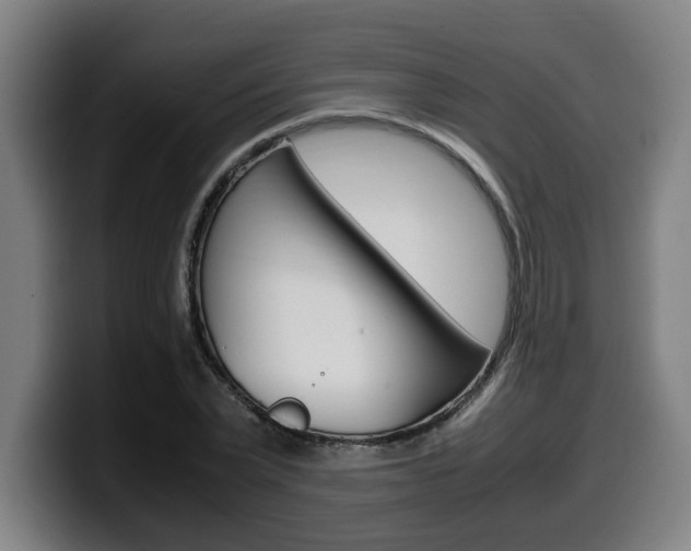 X0000099490783200805150926