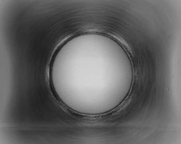 X0000099490790200805150926