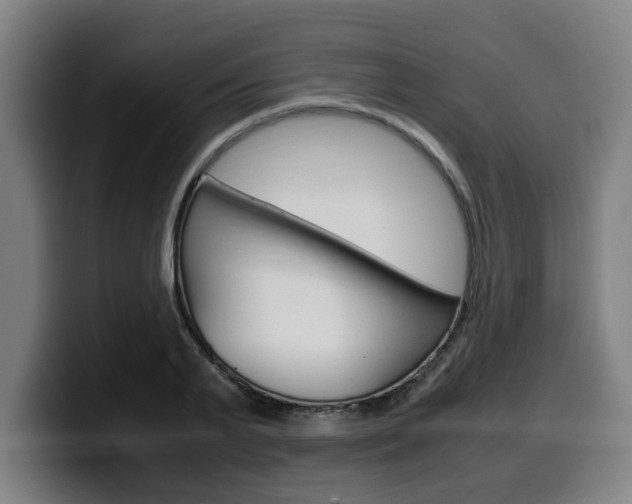 X0000099490791200805150926