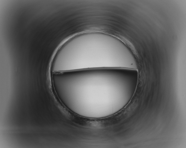 X0000099490792200805150926