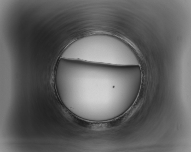 X0000099490793200805150926