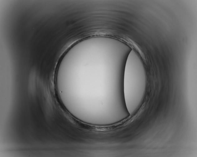 X0000099490794200805150926