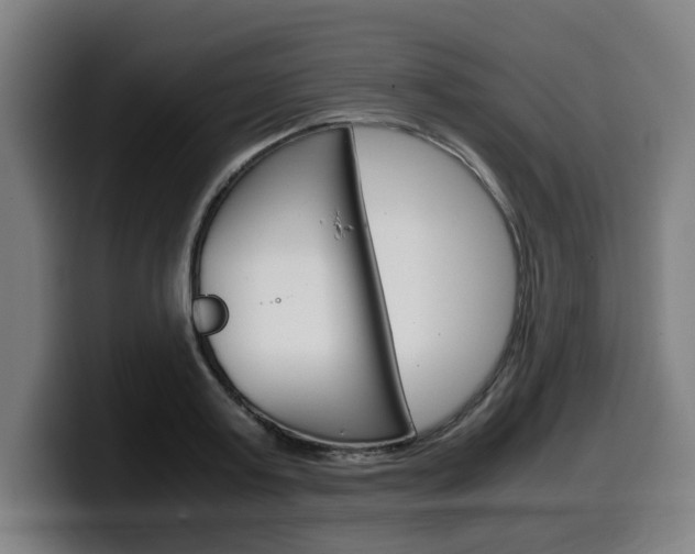 X0000099490795200805150926