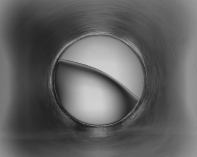X0000099490797200805150926