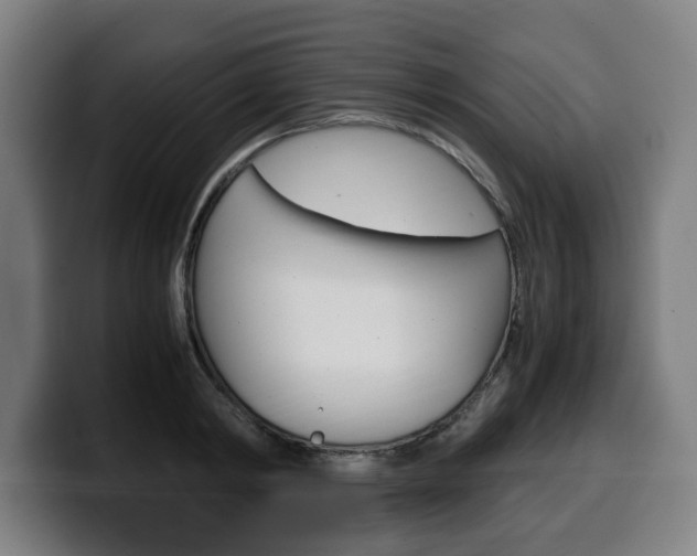 X0000099490798200805150926