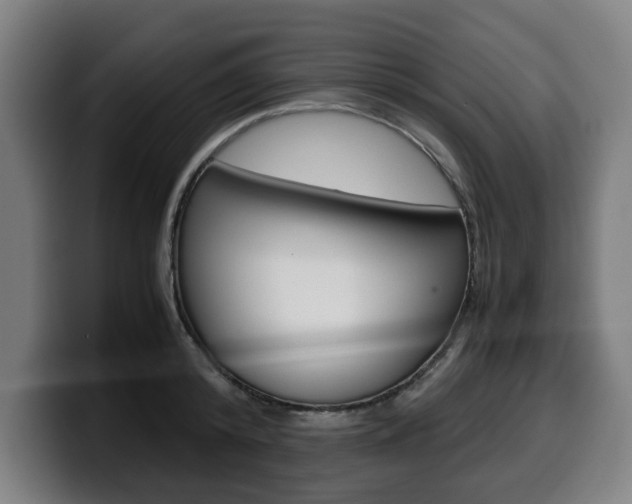 X0000099490800200805150926