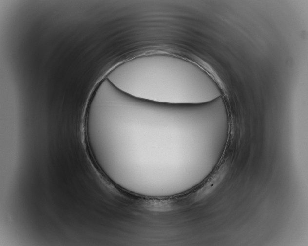 X0000099490802200805150926