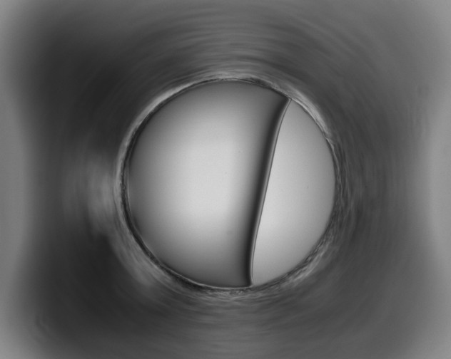 X0000099490803200805150926