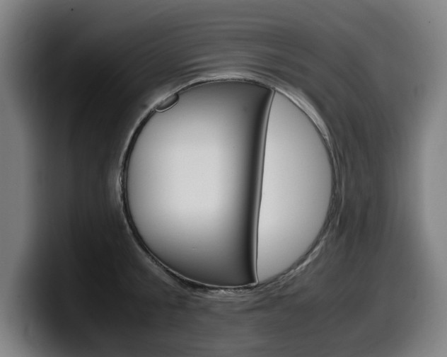 X0000099490805200805150926