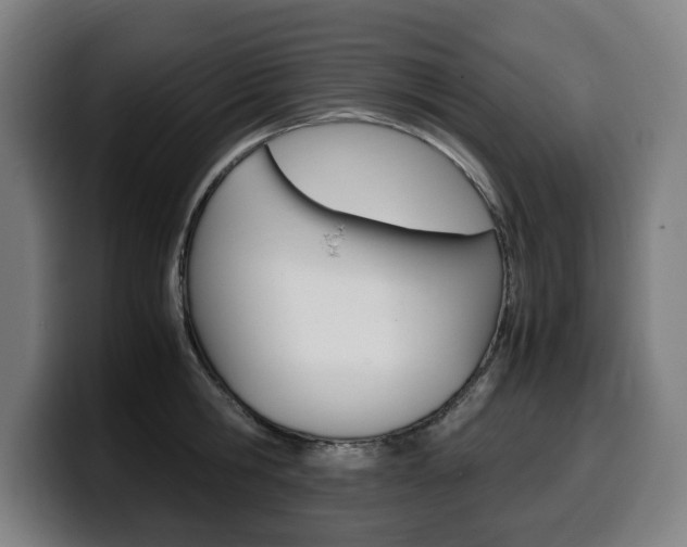 X0000099490806200805150926