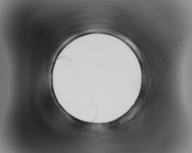 X0000099490807200805150926