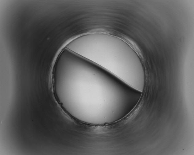 X0000099490808200805150926