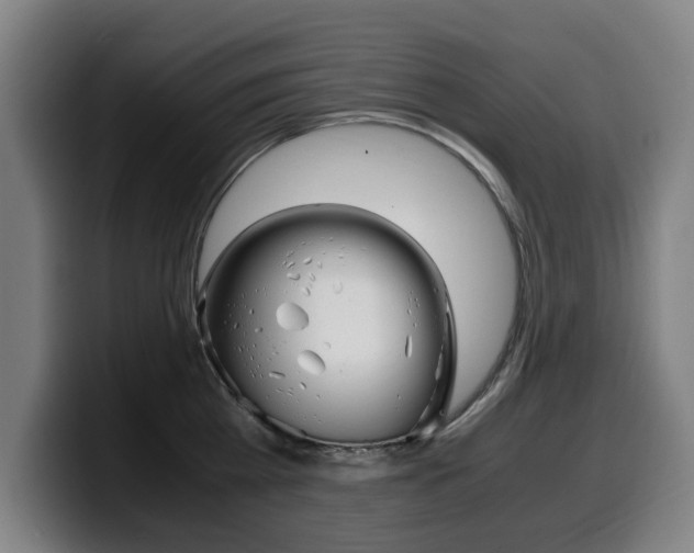 X0000099490809200805150926