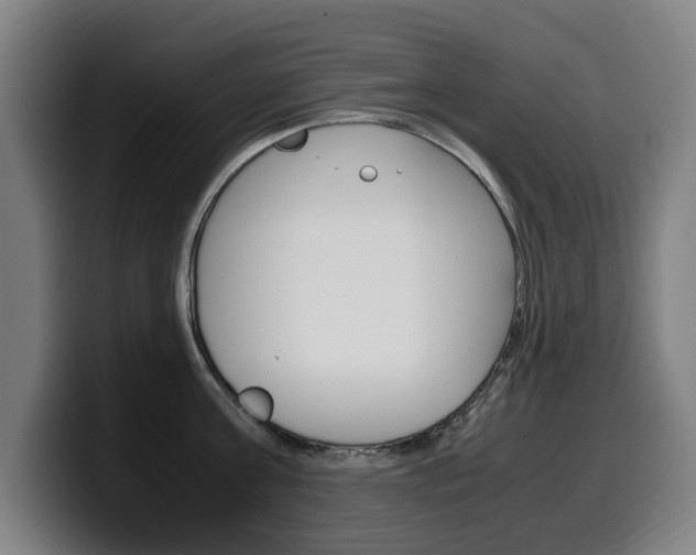 X0000099490811200805150926