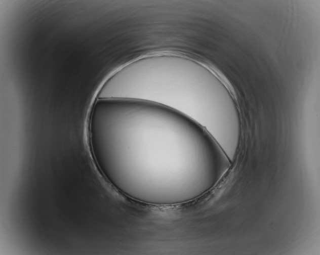 X0000099490813200805150926