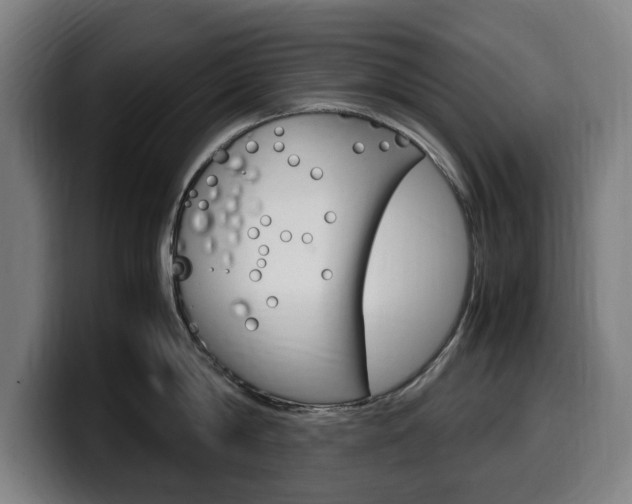 X0000099490814200805150926