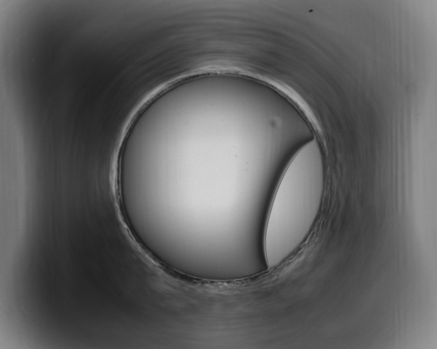 X0000099490815200805150926