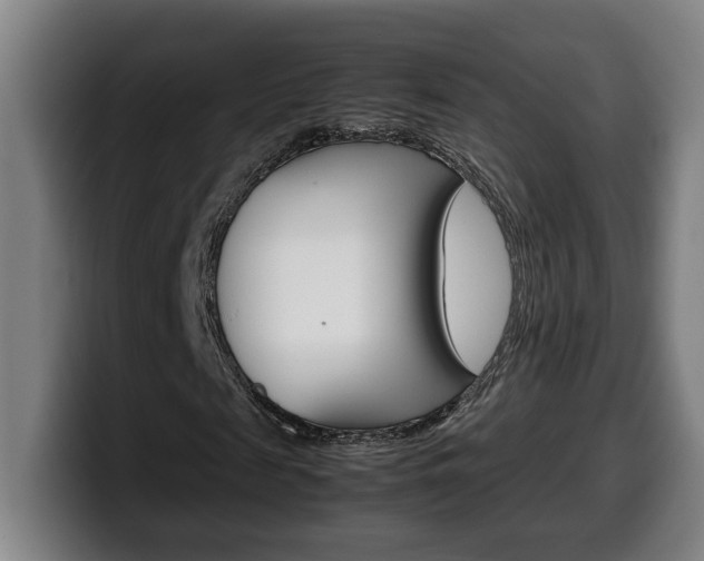 X0000099490817200805150925