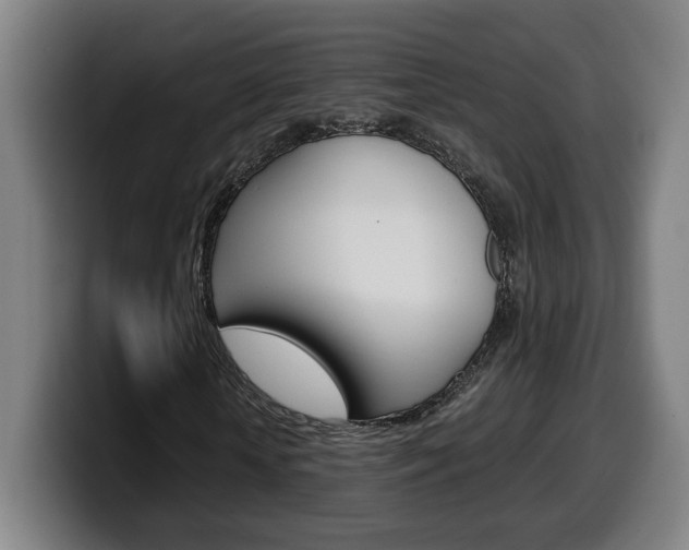 X0000099490818200805150925