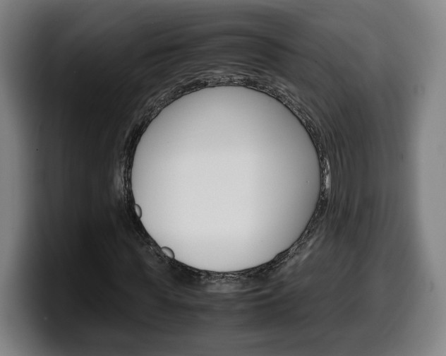 X0000099490819200805150925