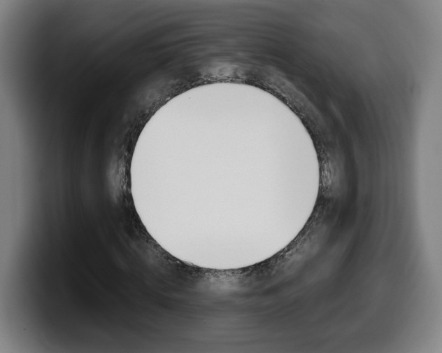 X0000099490820200805150925