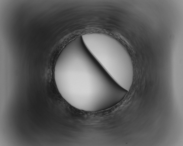 X0000099490821200805150925