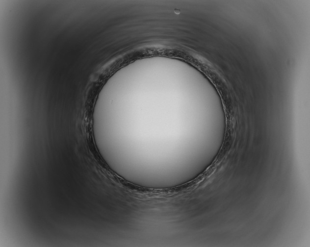 X0000099490822200805150925