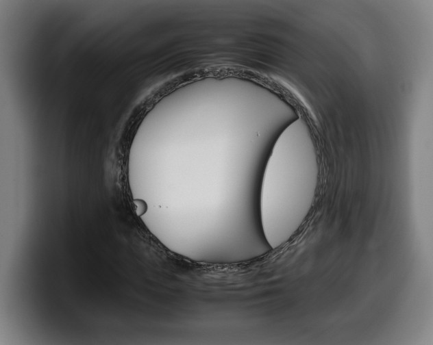 X0000099490823200805150926