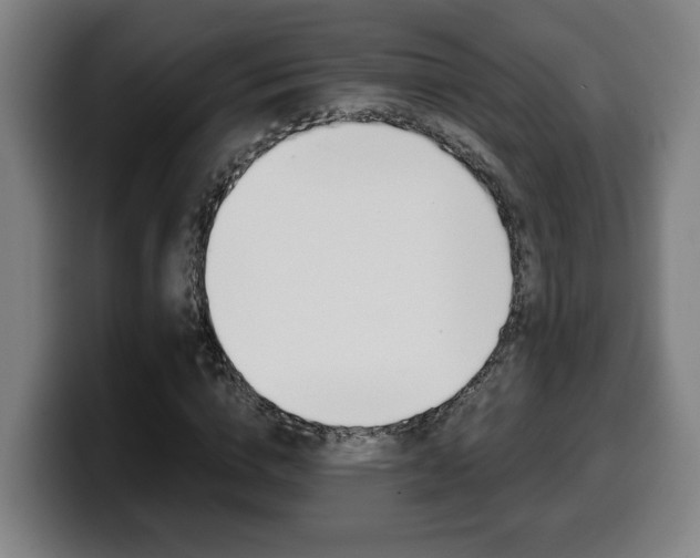 X0000099490824200805150926