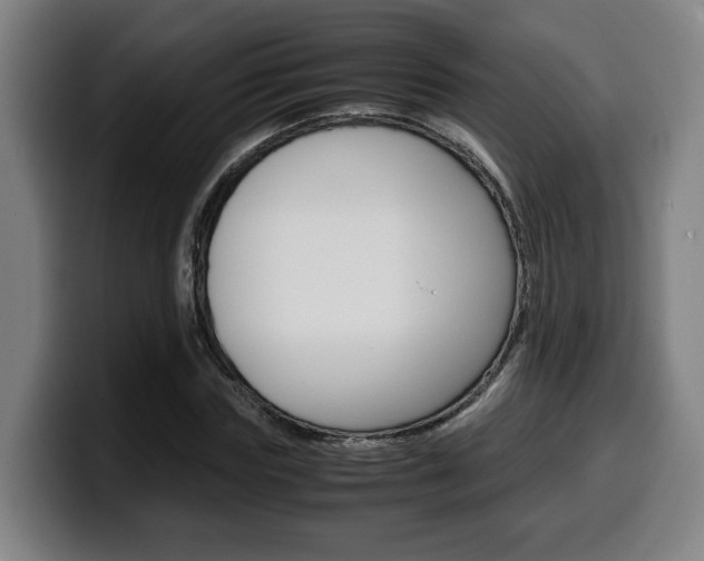 X0000099490827200805150926