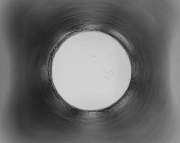 X0000099490828200805150926